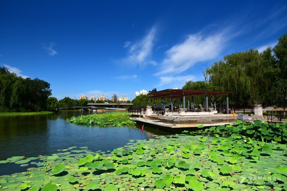 清凉一下公园跑跑随手拍拍02