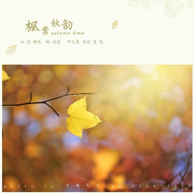 ㊣  秋 叶 ...... ㊣