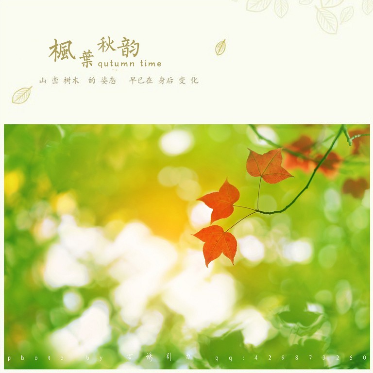 ㊣  秋 叶 ...... ㊣