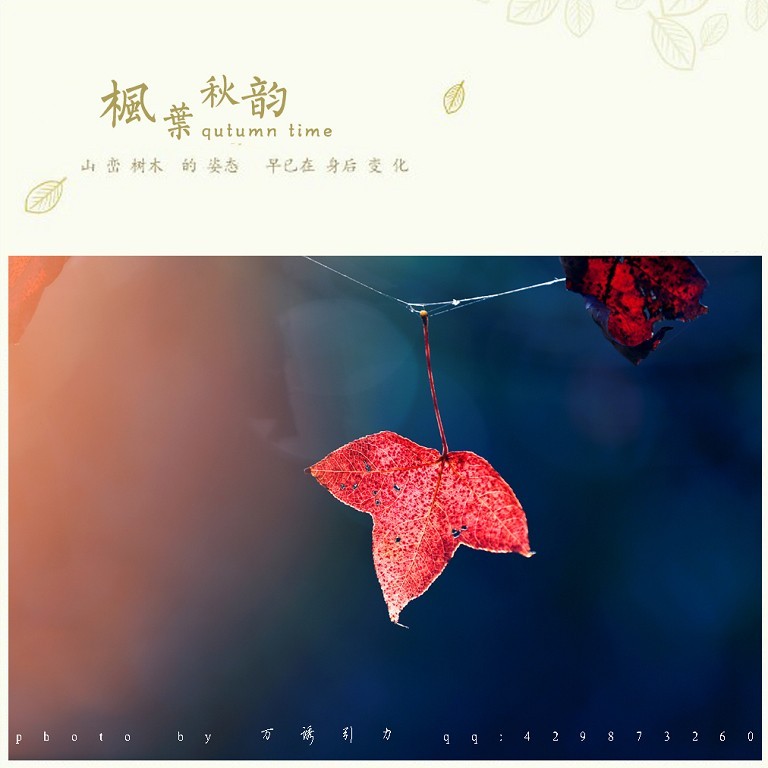 ㊣  秋 叶 ...... ㊣