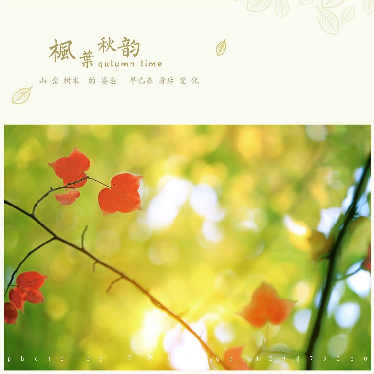 ㊣  秋 叶 ...... ㊣