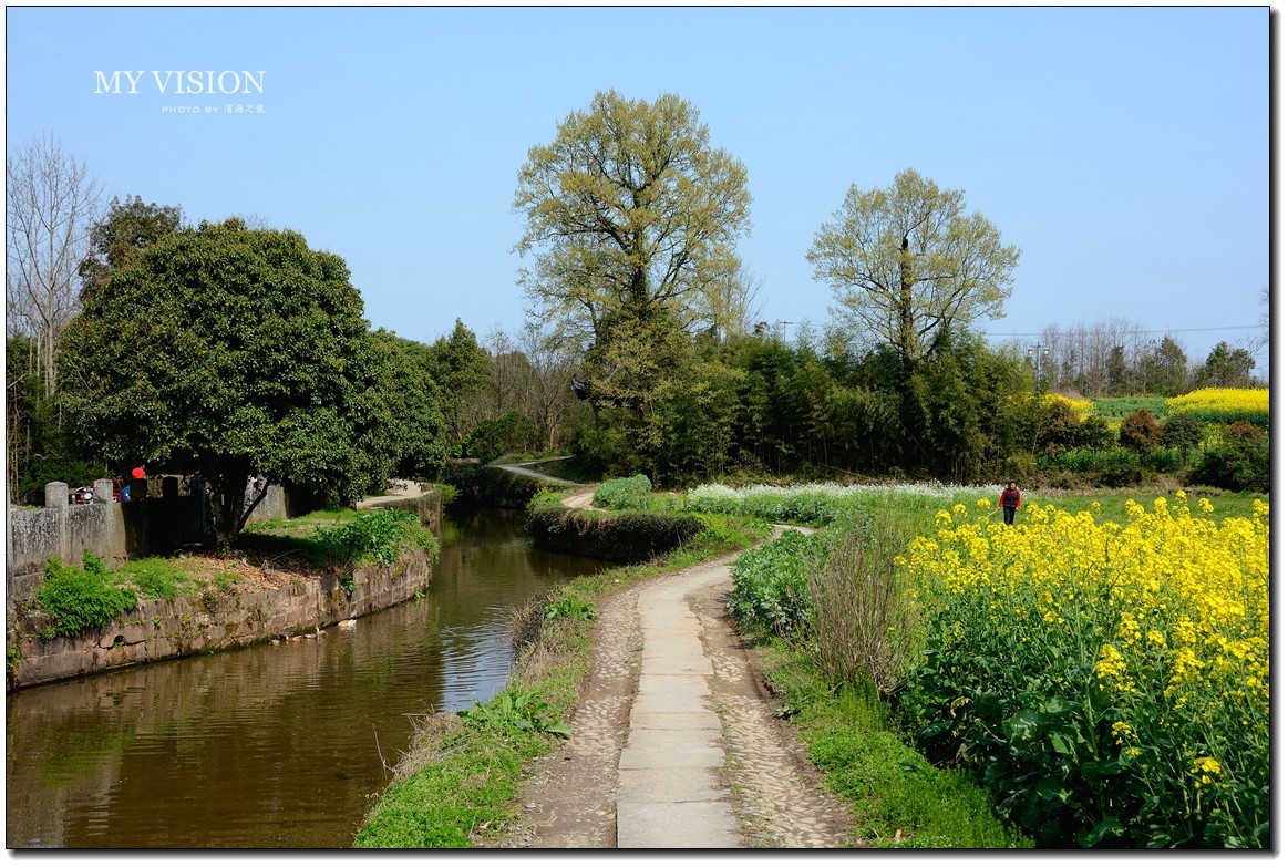 【唐模古村随拍】