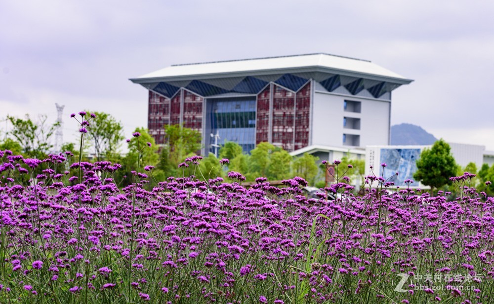 昭通市委党校荷花园摄影