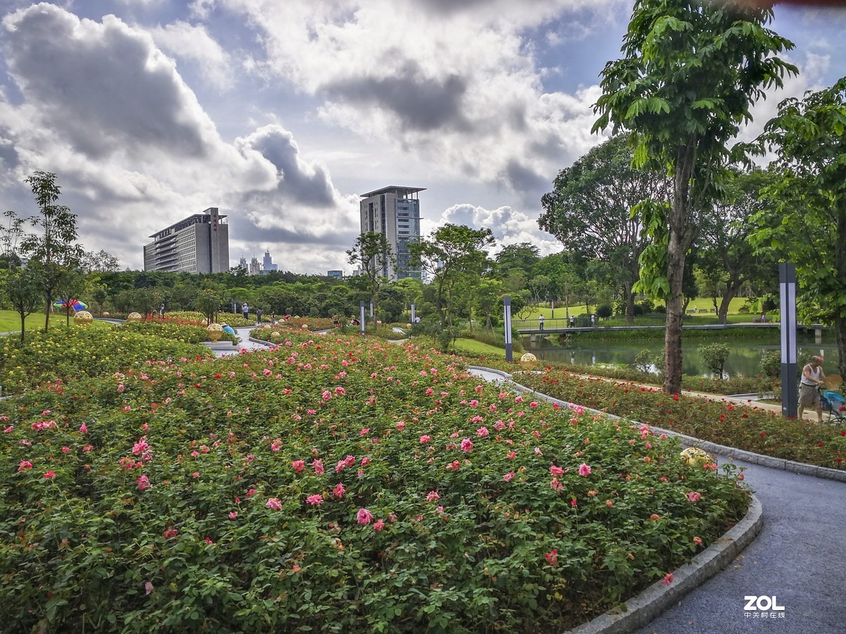 深圳香密公园掠影