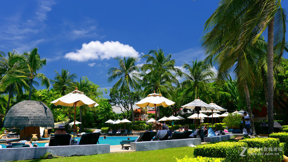 携《泰国华欣——泰皇室避暑海滨 A》首次拜访四大版主