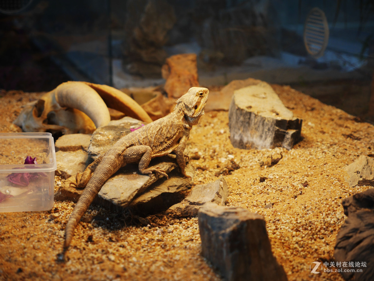 上海自然博物馆