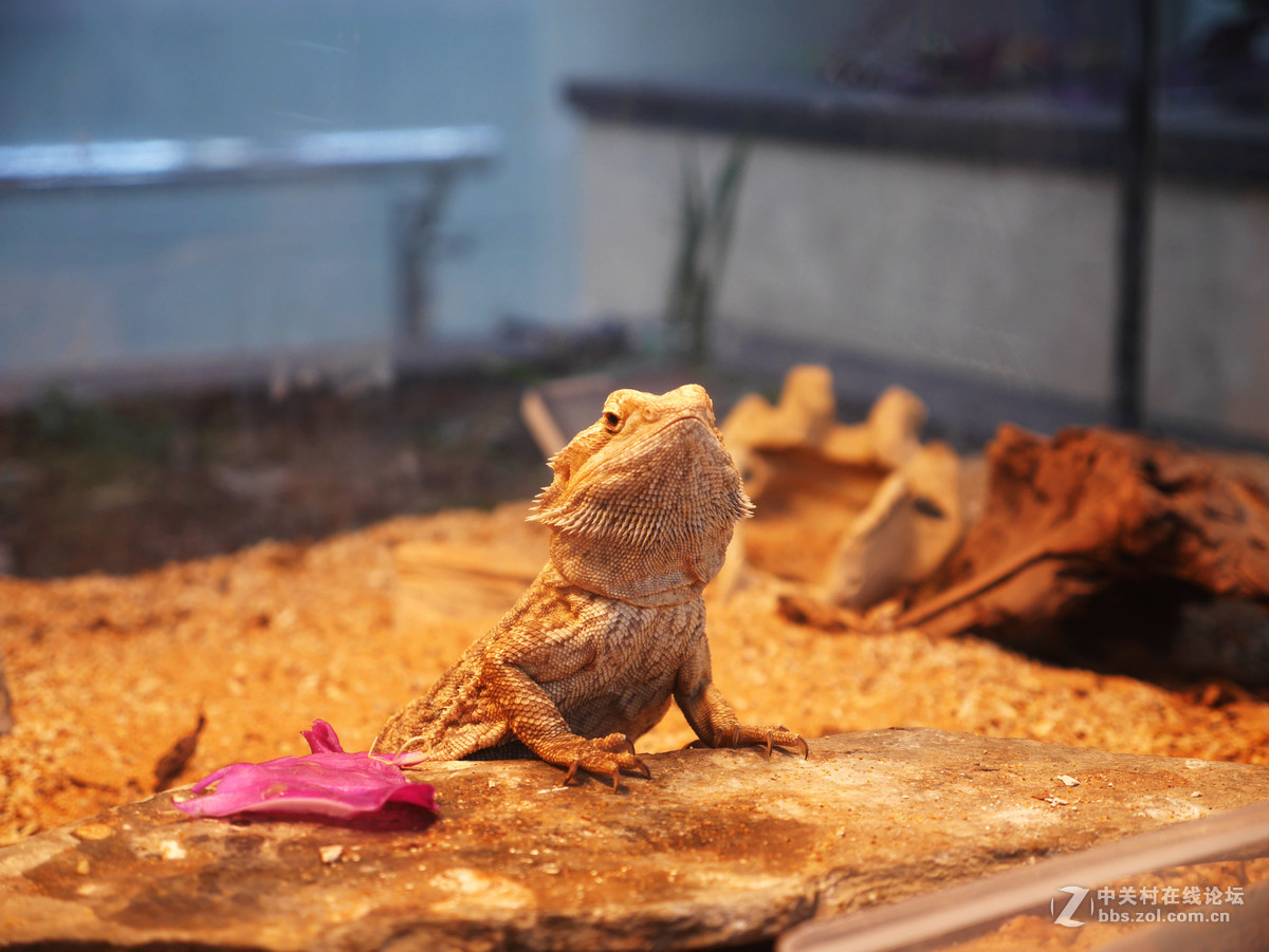 上海自然博物馆