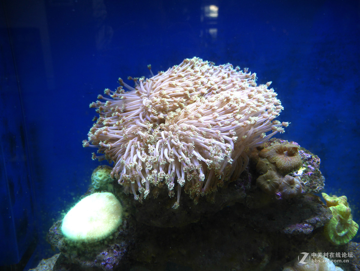 上海自然博物馆