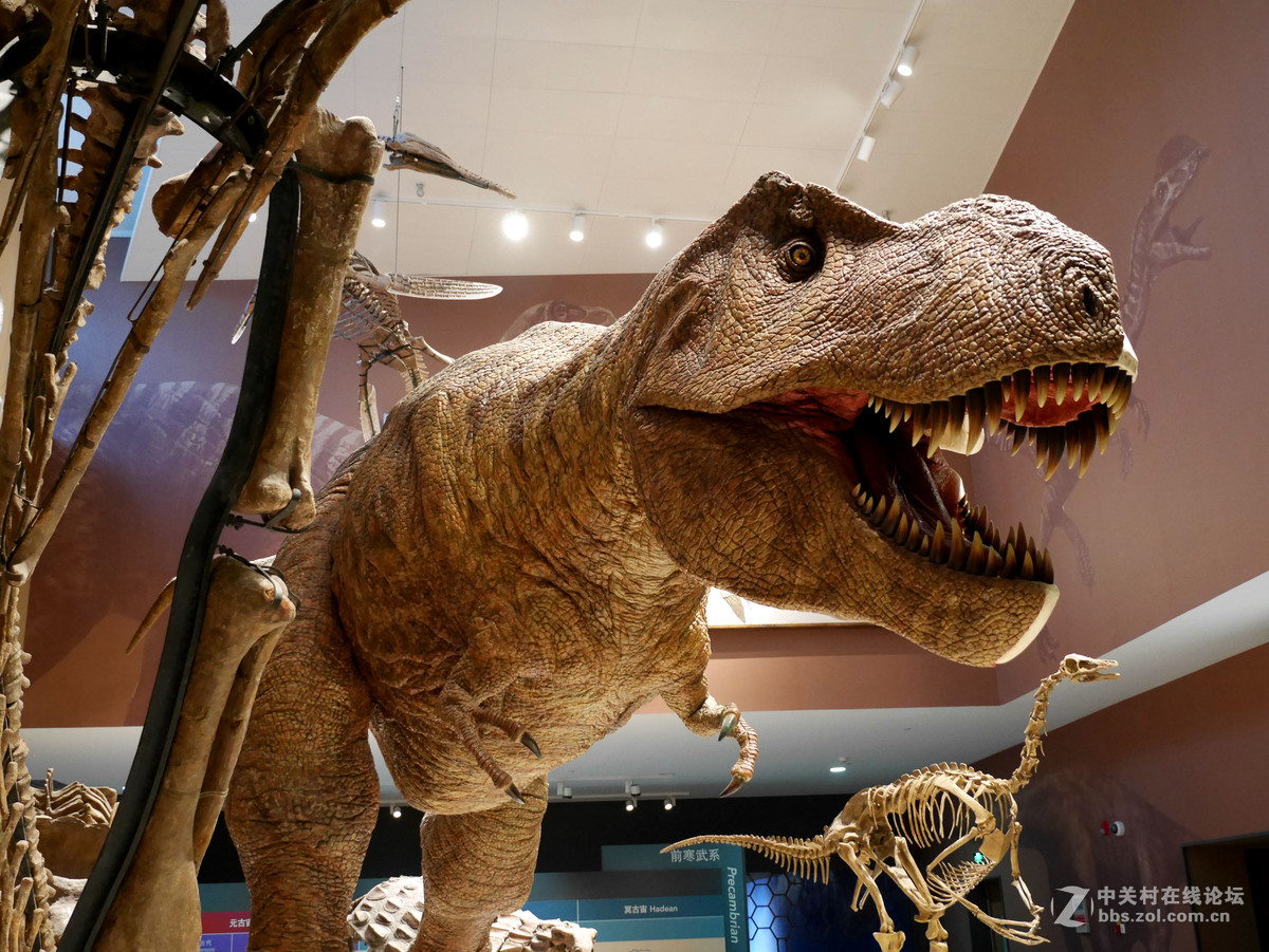 上海自然博物馆