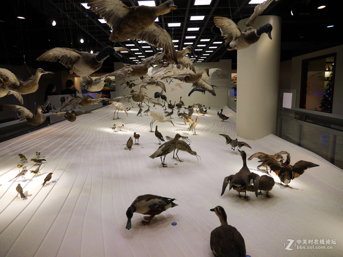 上海自然博物馆