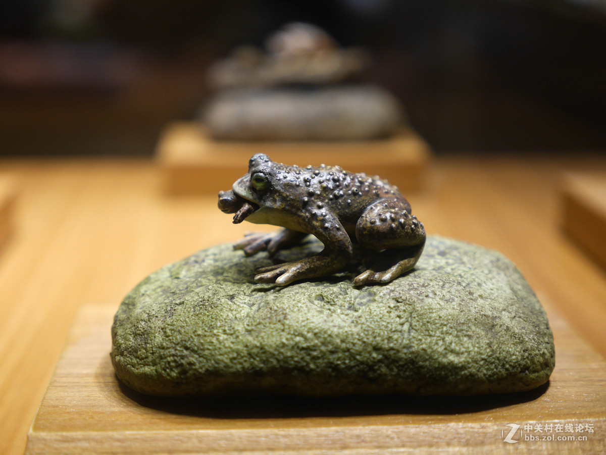 上海自然博物馆