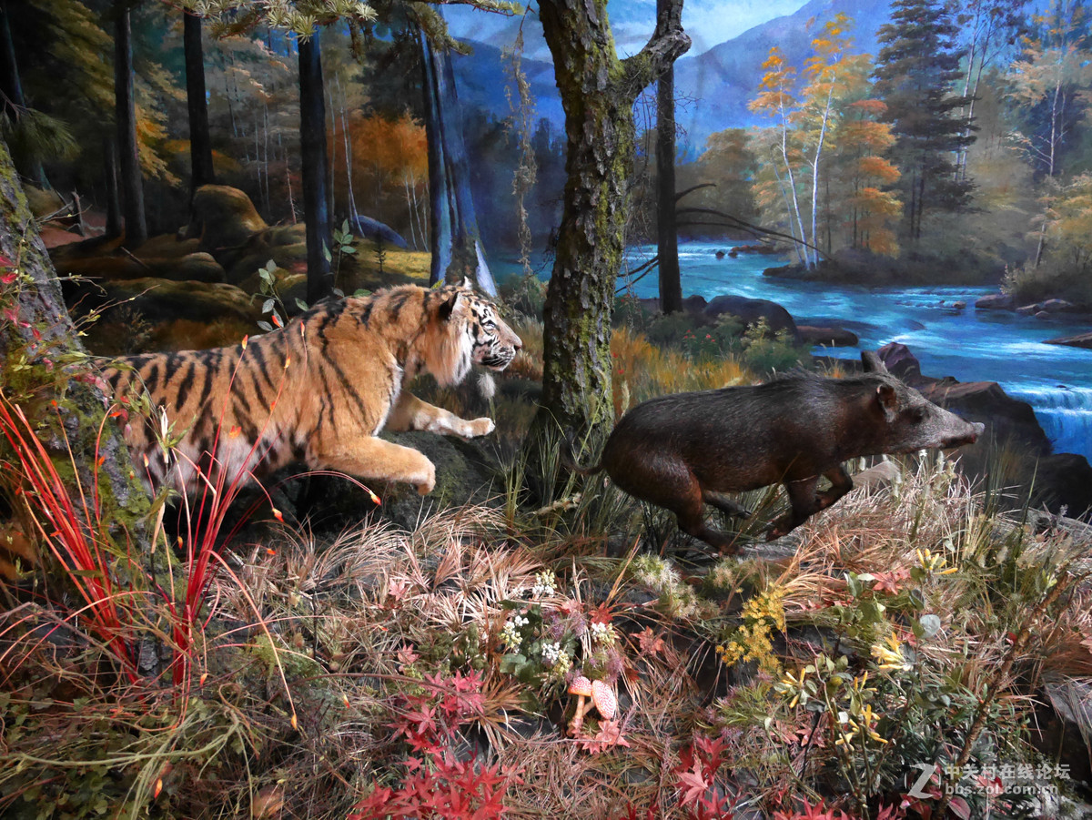 上海自然博物馆