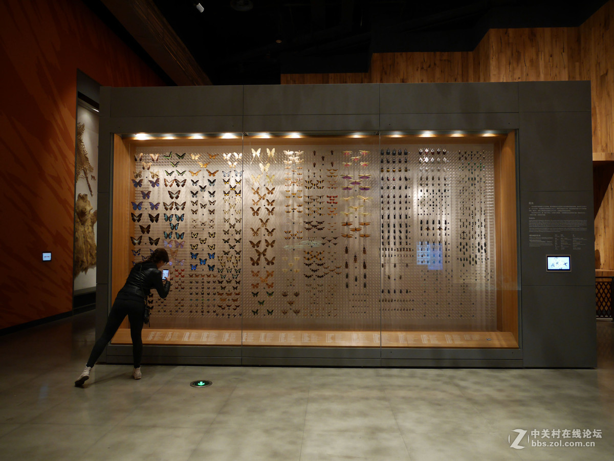 上海自然博物馆