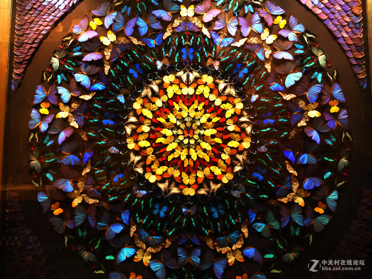 上海自然博物馆