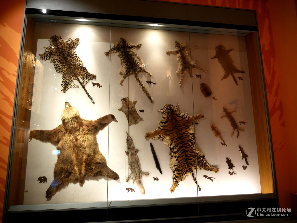 上海自然博物馆