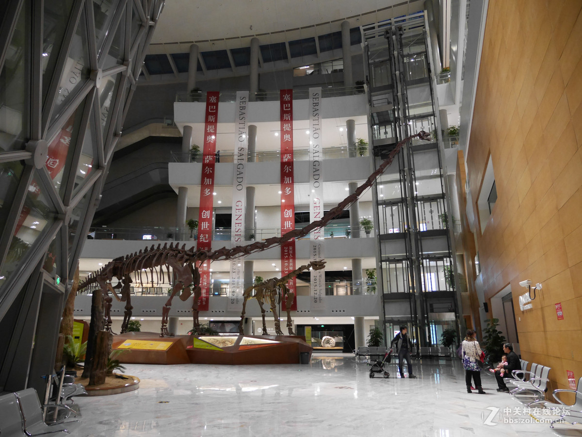 上海自然博物馆