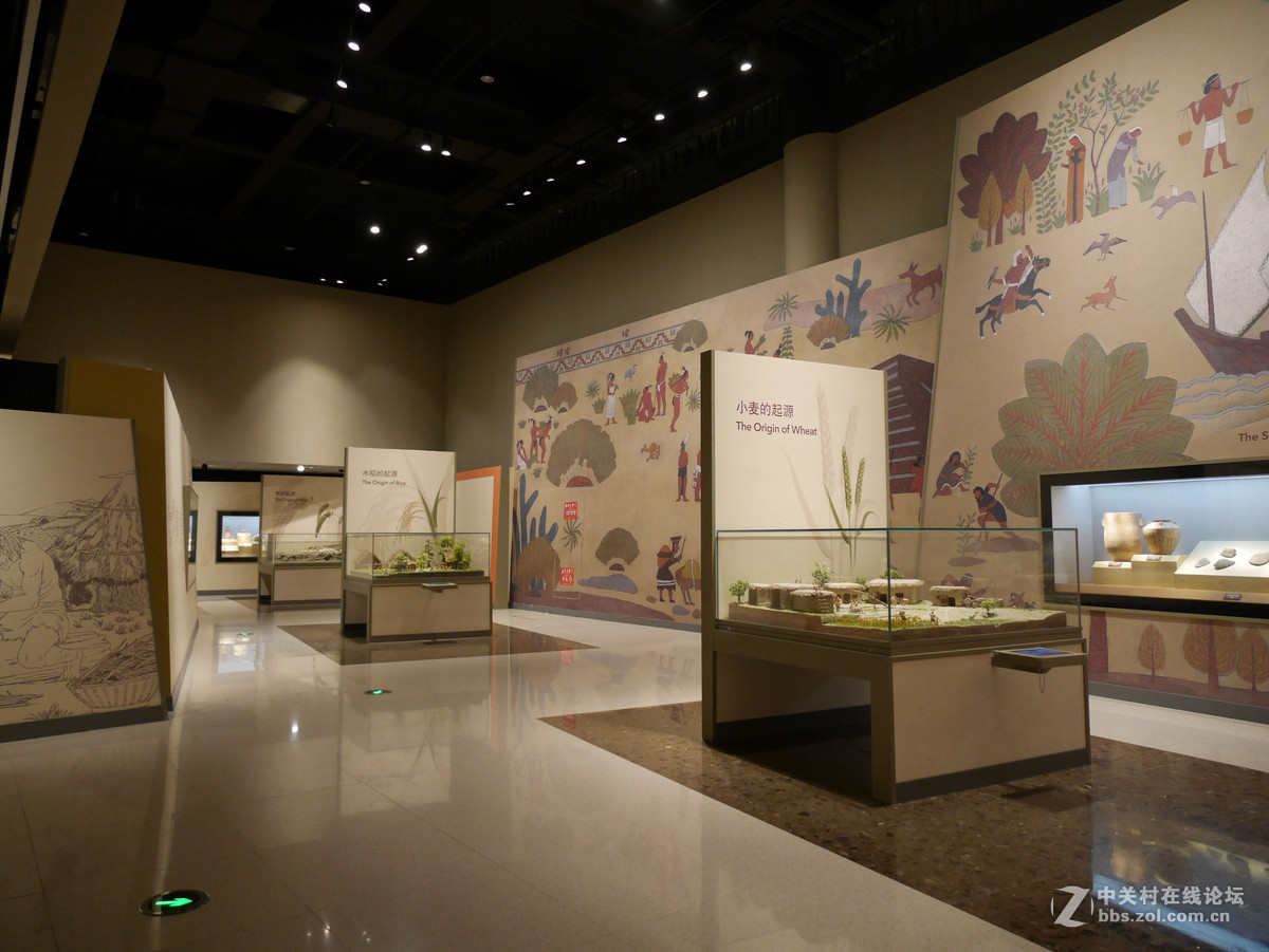 上海自然博物馆