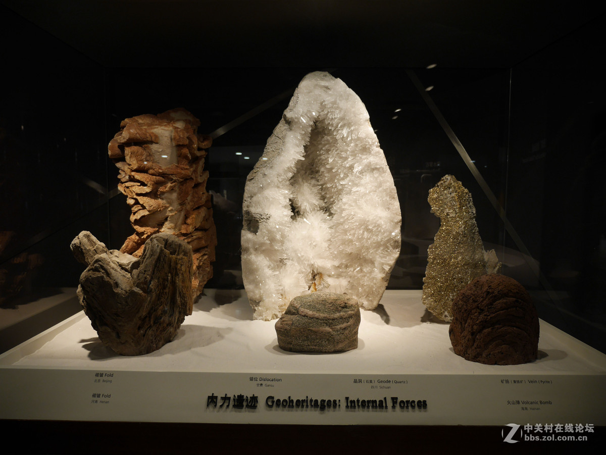 上海自然博物馆