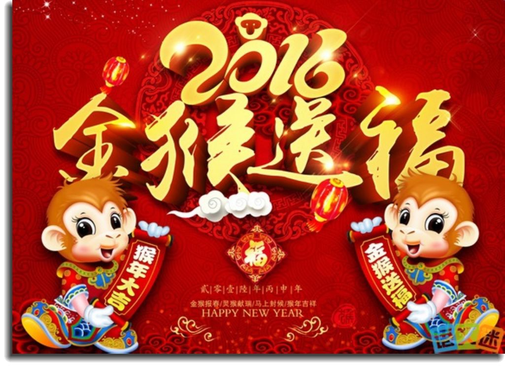 一组海鸥，给大家拜年啦！