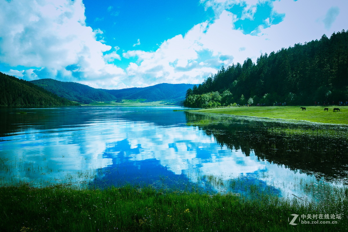 香格里拉。普达措