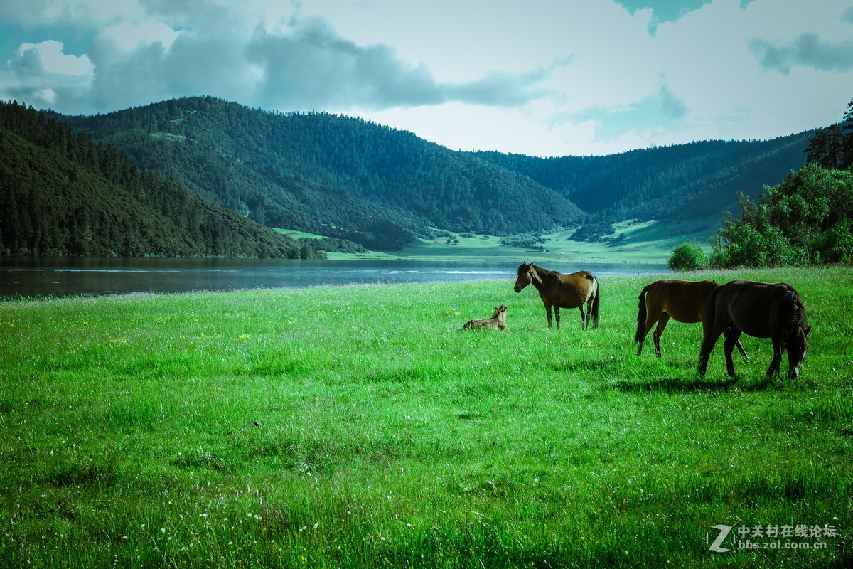 香格里拉。普达措
