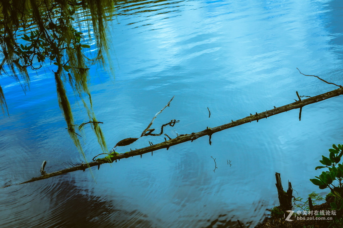 香格里拉。普达措