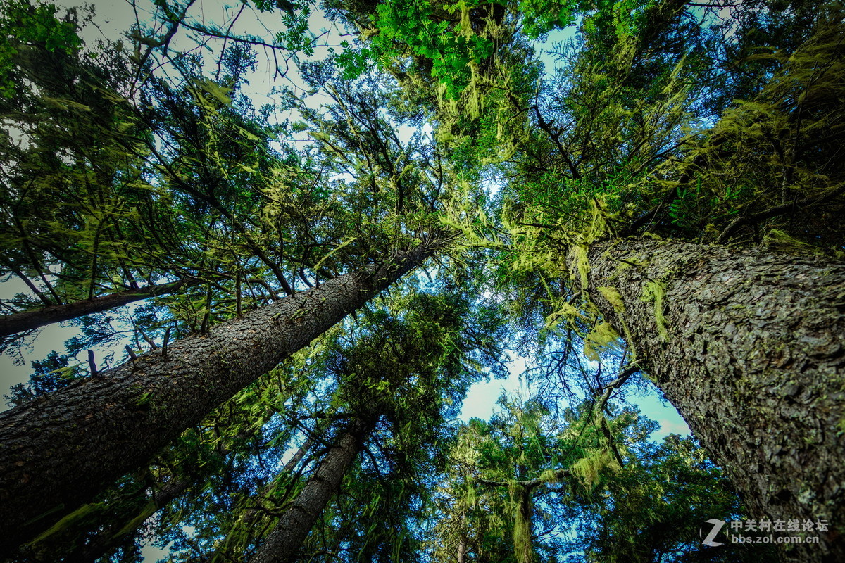 香格里拉。普达措