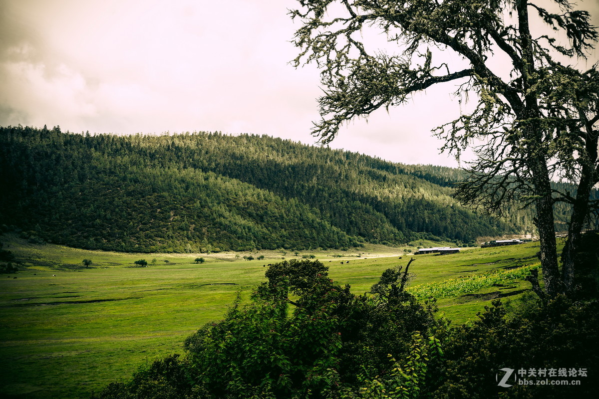 香格里拉。普达措