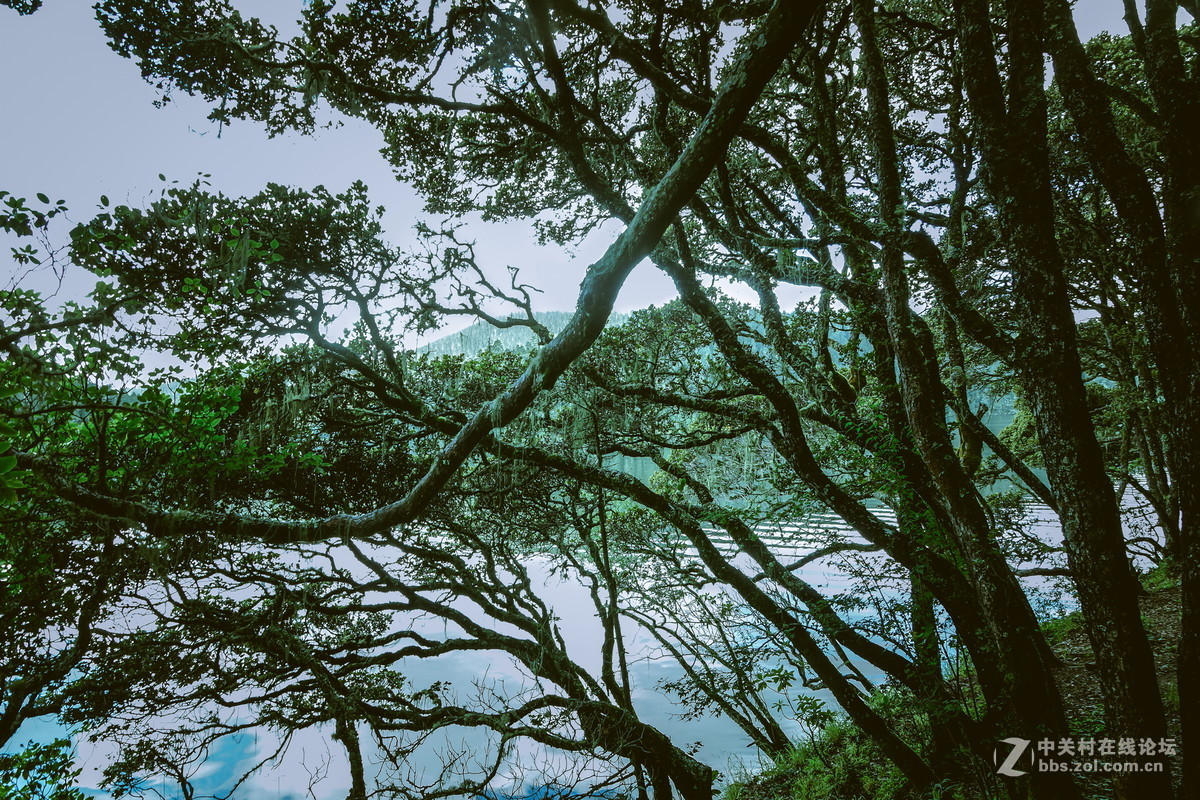 香格里拉。普达措