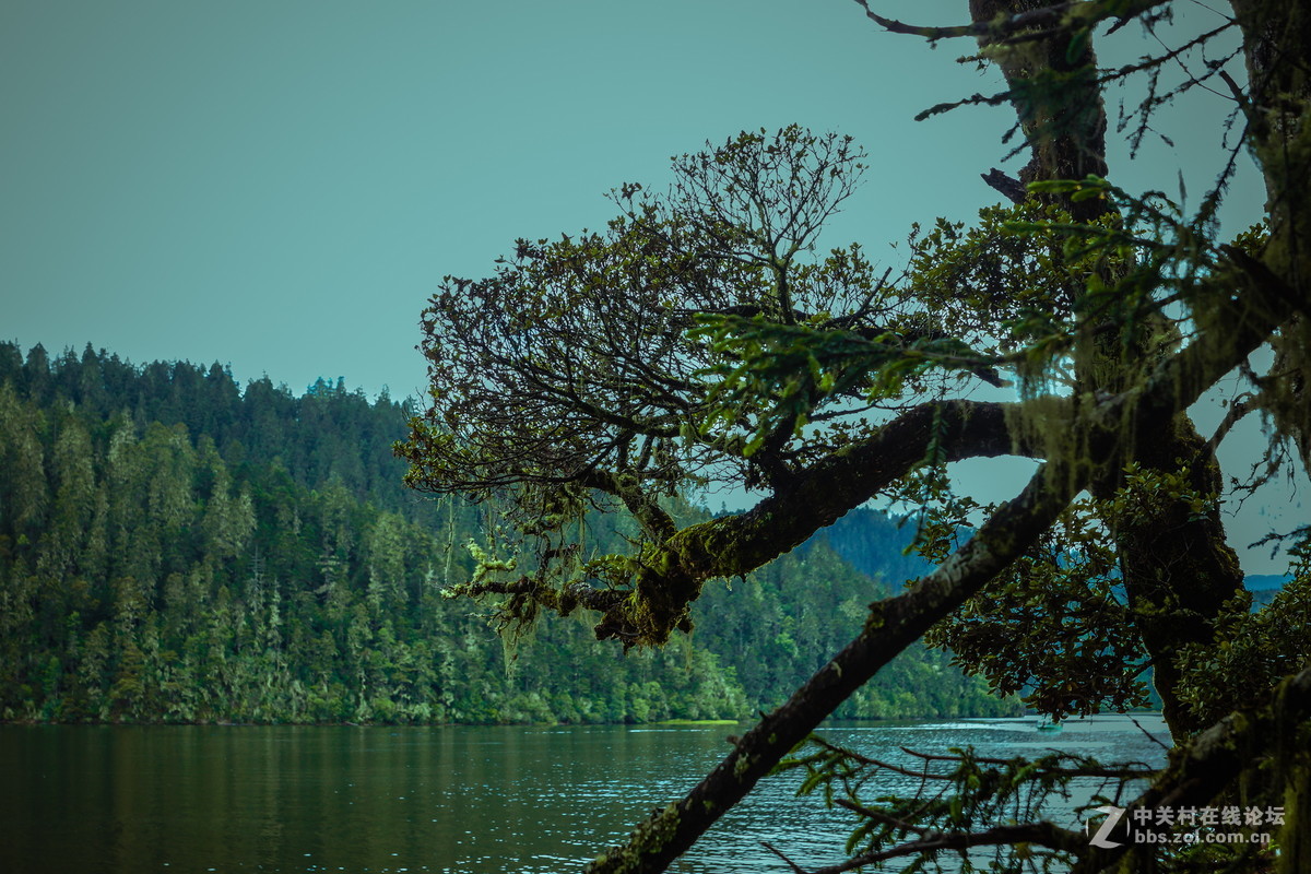 香格里拉。普达措
