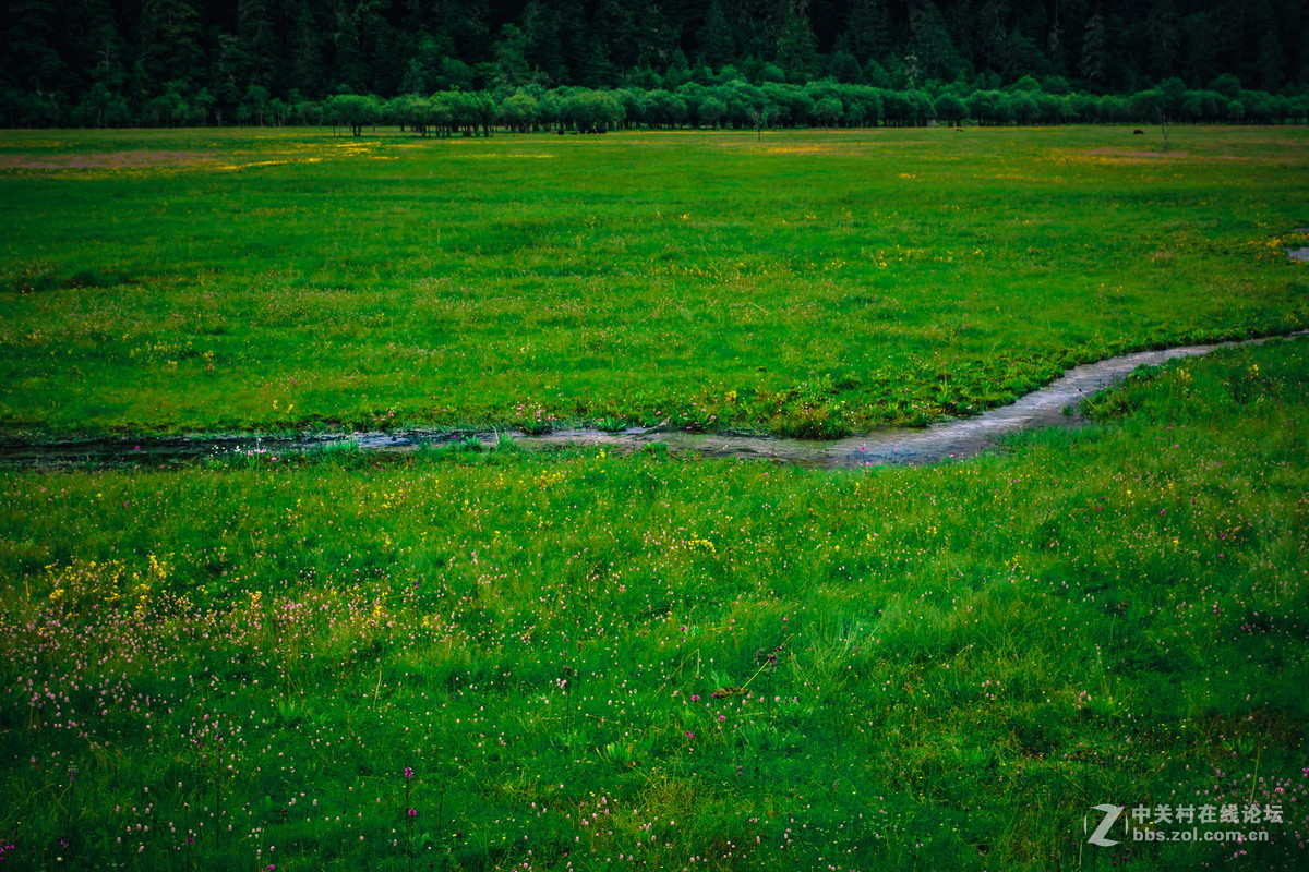 香格里拉。普达措