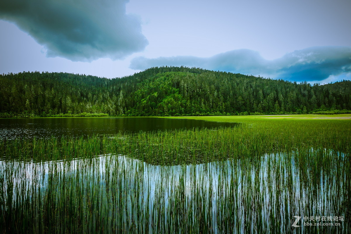 香格里拉。普达措
