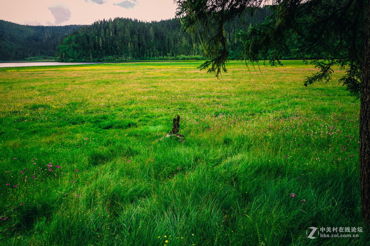 香格里拉。普达措