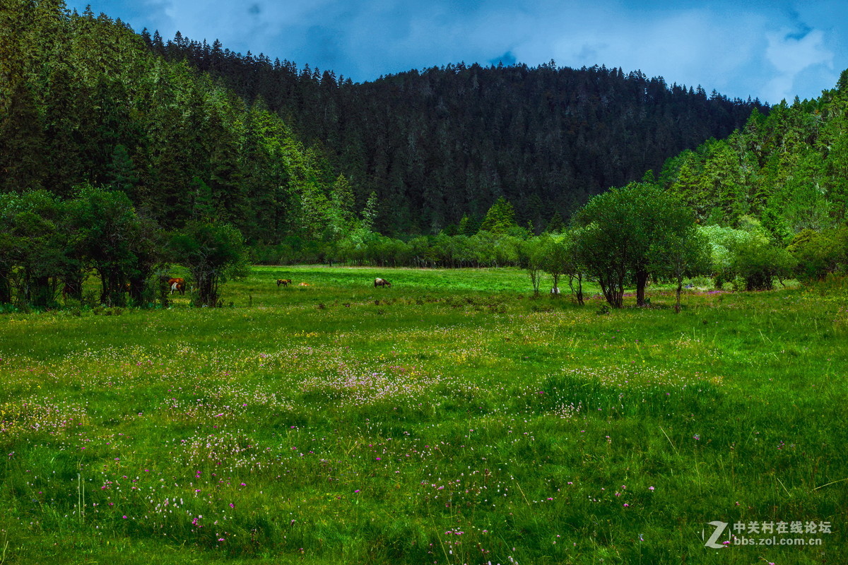 香格里拉。普达措
