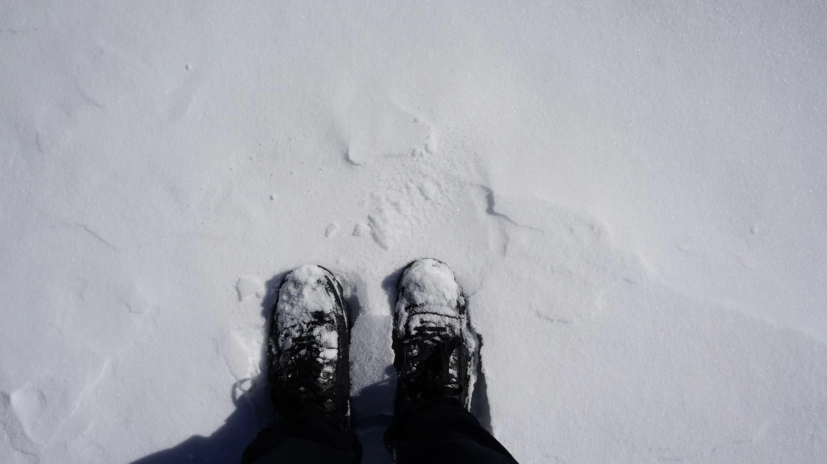 nex5r最近的遥远