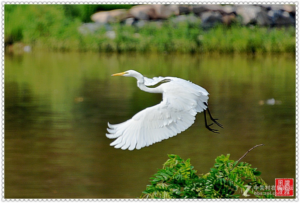 [西山湖公园——随拍]（1）