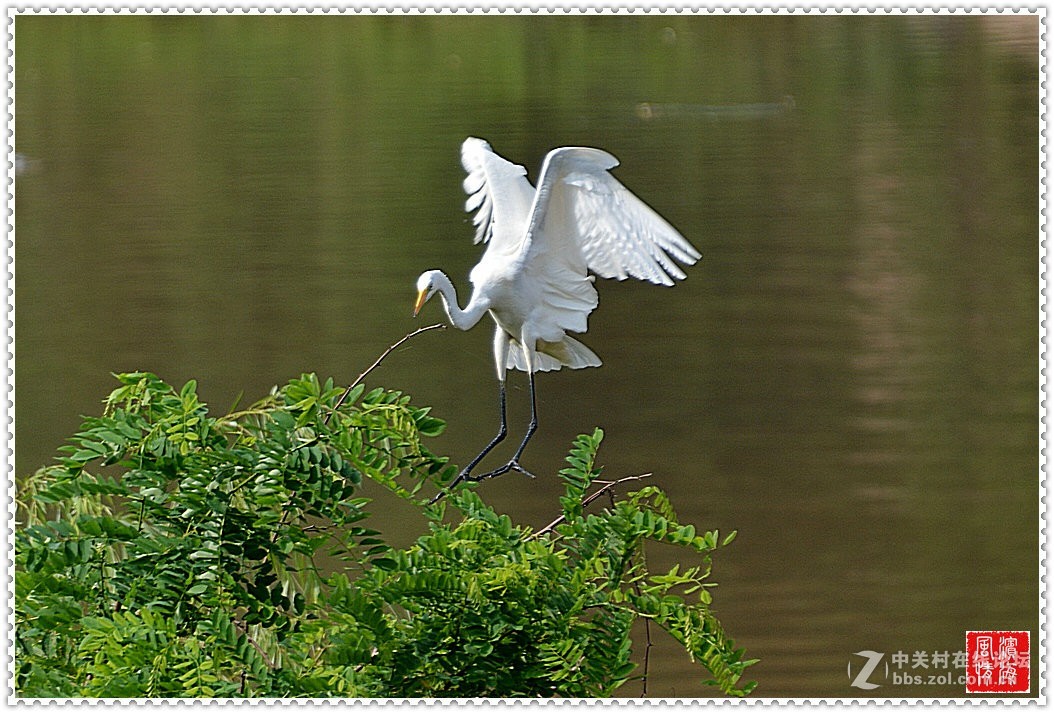 [西山湖公园——随拍]（1）
