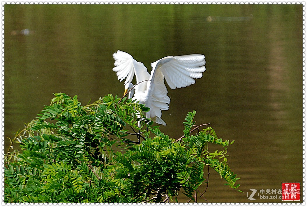 [西山湖公园——随拍]（1）