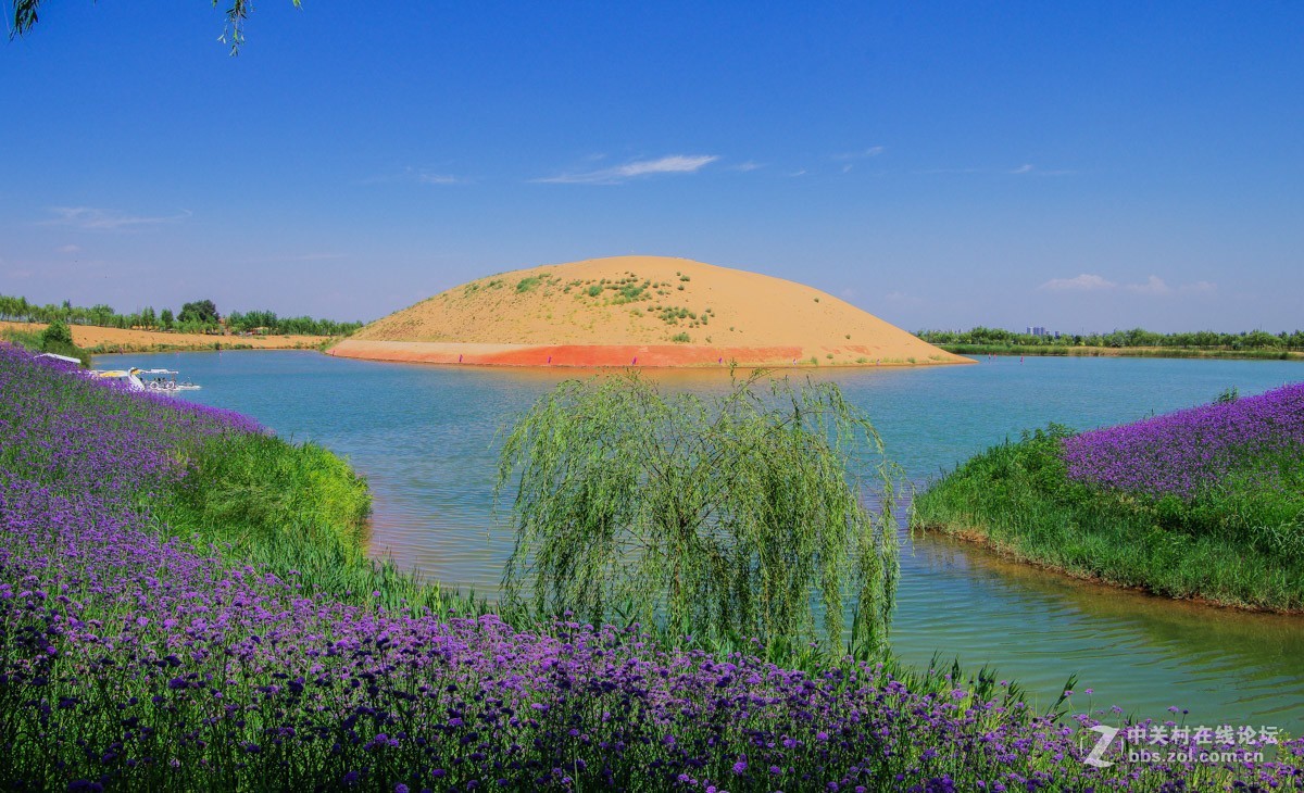 中卫金沙岛