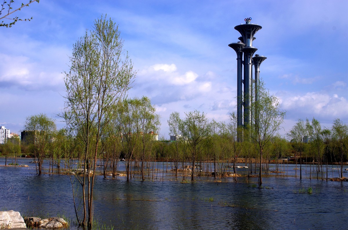 2018奥森公园湿地风景二