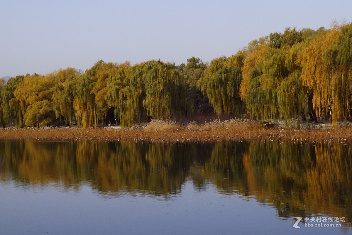 4530拍老北京胡同