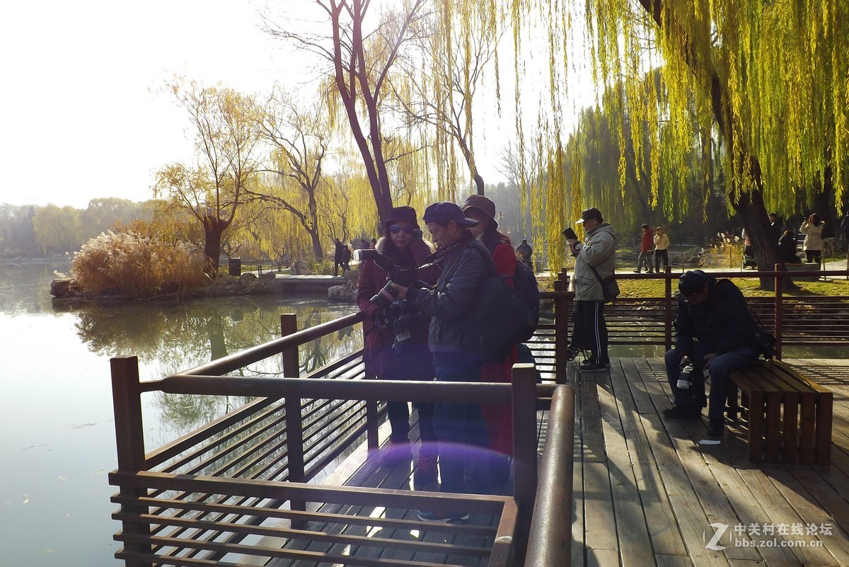 4530拍老北京胡同