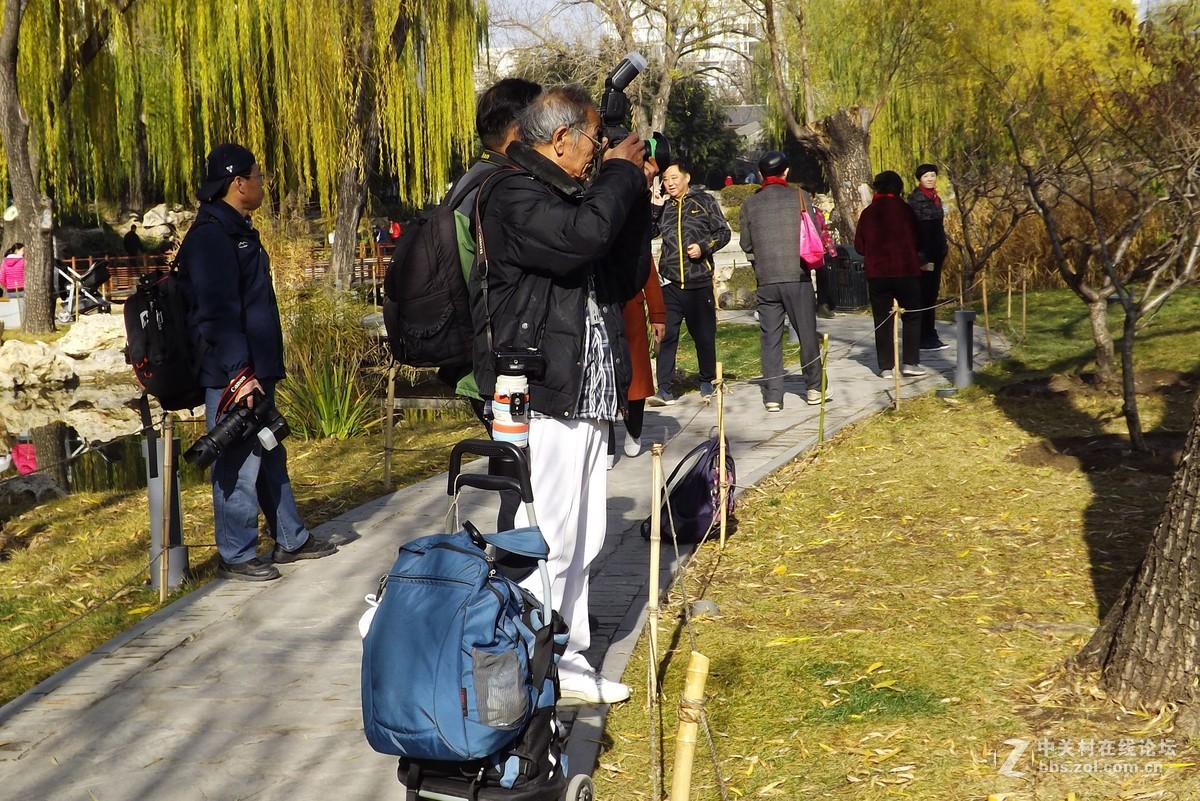 4530拍老北京胡同