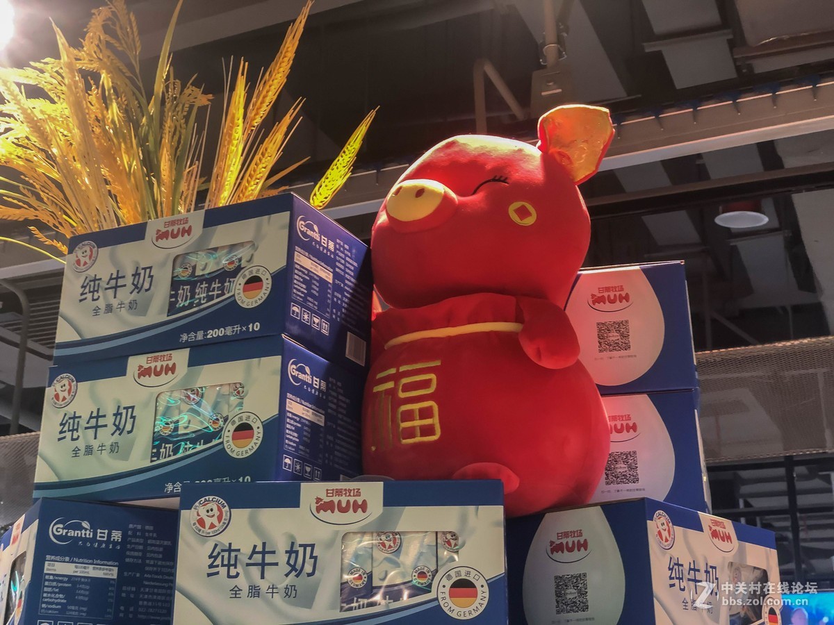 金猪迎福