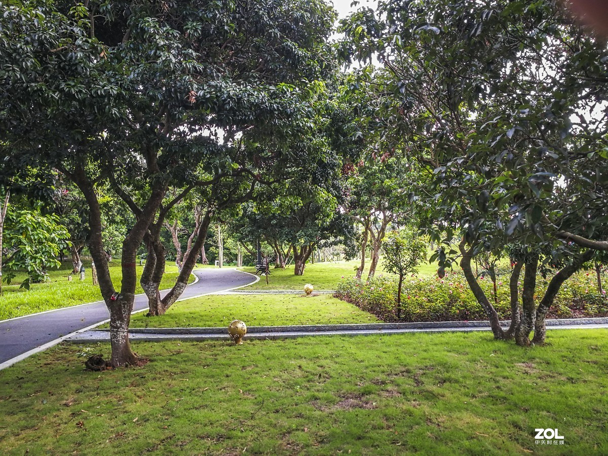 深圳香密公园掠影