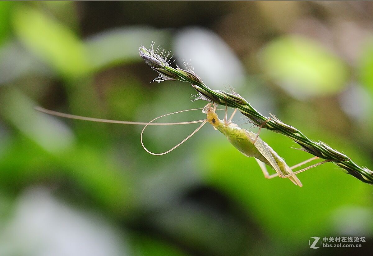 微距杂拍（七）