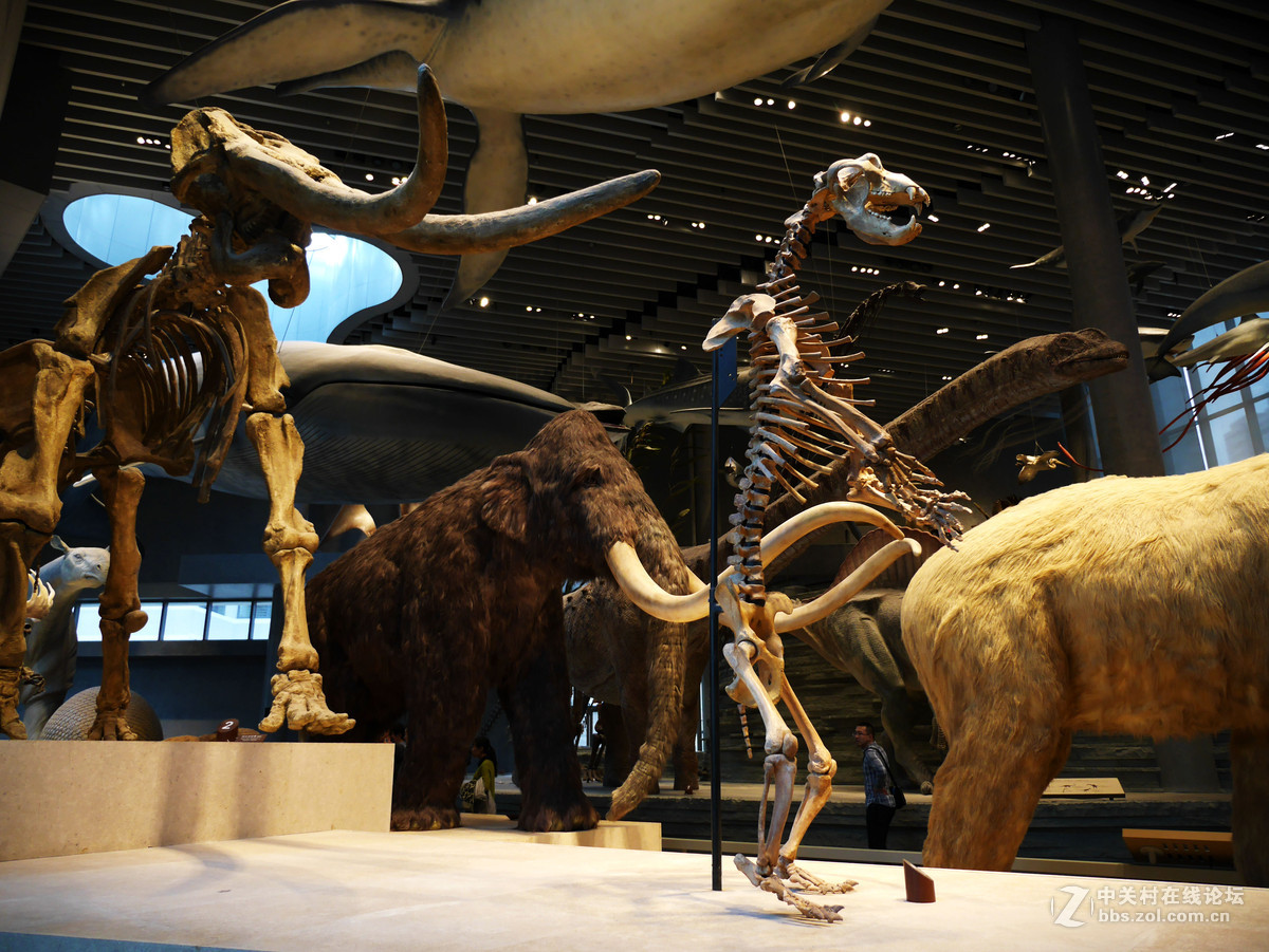 上海自然博物馆