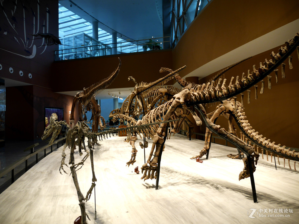 上海自然博物馆