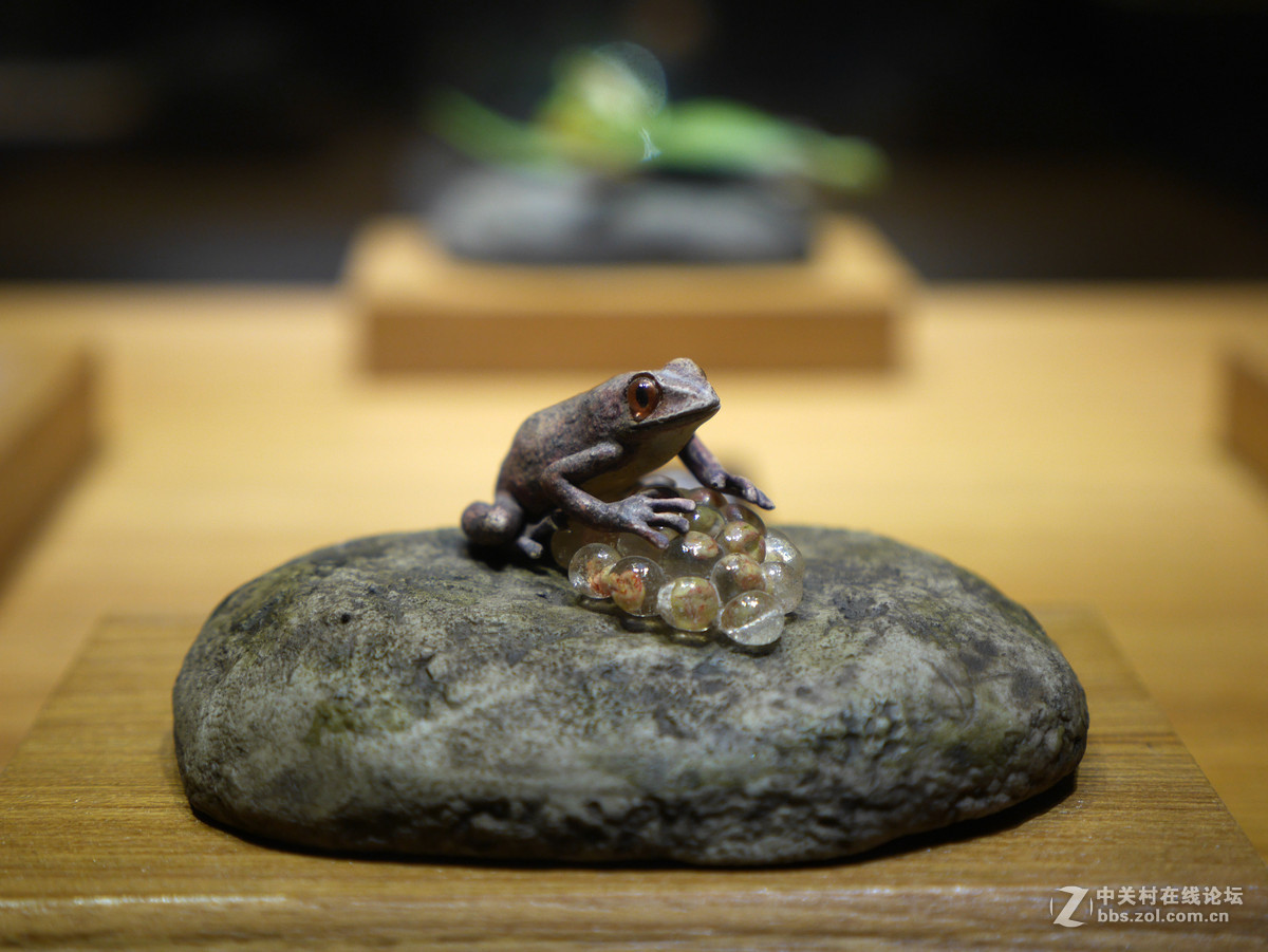 上海自然博物馆