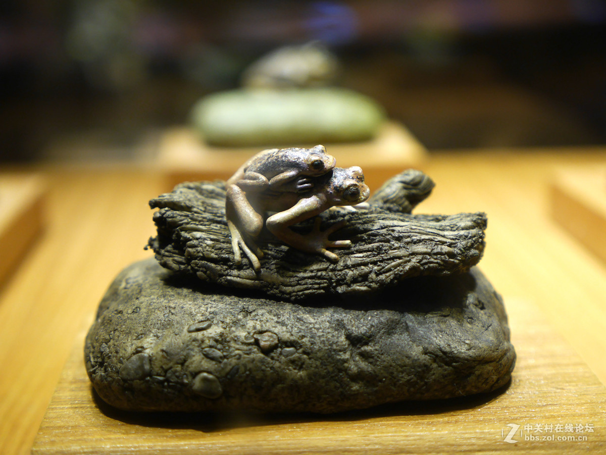 上海自然博物馆